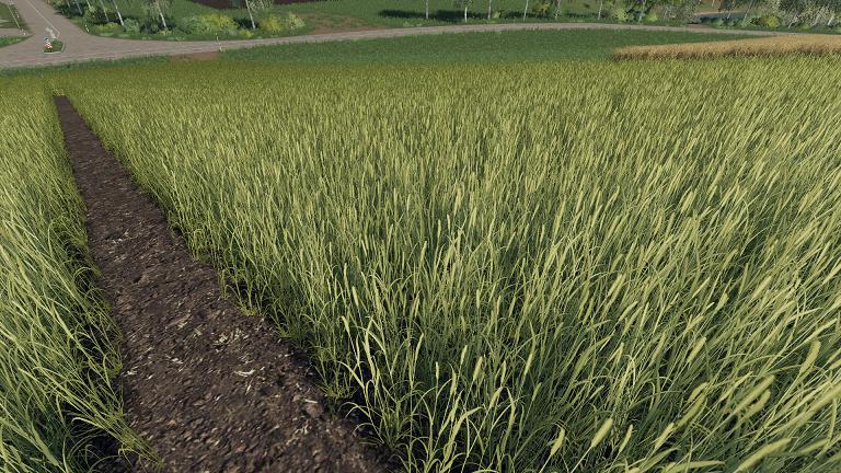 FS19 Realistic Cereal and Canola Crop Densities v1.0.